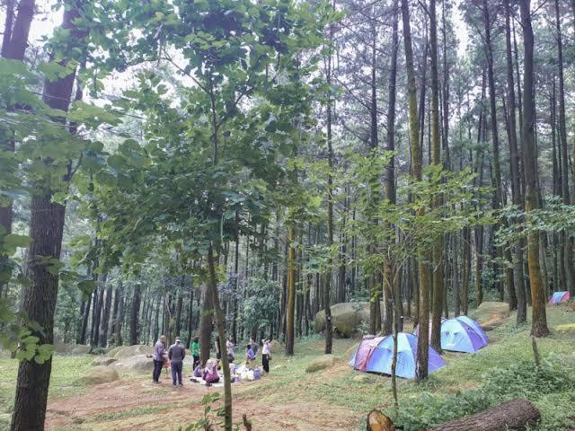 Tapian Ratu Camp Real Bukittinggi Eksteriør bilde